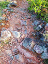 ram-head-trail.jpg