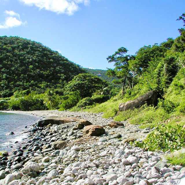 st-thomas-beach.jpg