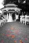wedding.jpg