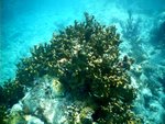 day 2 - underwater 1.jpg