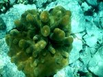 day 2 - underwater 2.jpg
