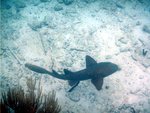 day 2 - underwater 3.jpg