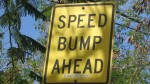 Speed Bump Ahead