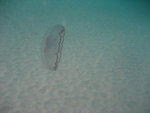 IMG_3576.JPG