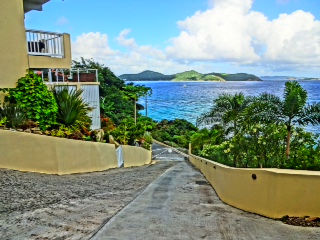 Color enhanced view down the Alice driveway, a beautiful home!