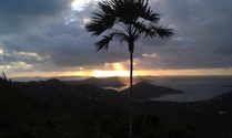ixora_sunrise_sm.jpg